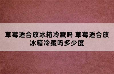 草莓适合放冰箱冷藏吗 草莓适合放冰箱冷藏吗多少度